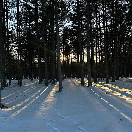 Suncani Vrhovi Apartment Zlatibor