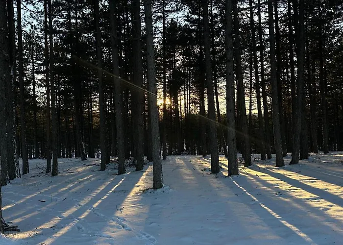 Suncani Vrhovi Apartment Zlatibor
